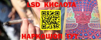 дмт Аргун