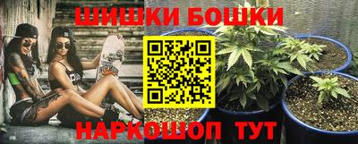 дмт Аргун