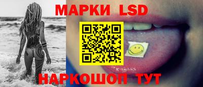 дмт Аргун